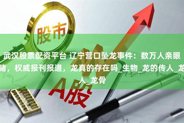 武汉股票配资平台 辽宁营口坠龙事件：数万人亲眼目睹，权威报刊报道，龙真的存在吗_生物_龙的传人_龙骨