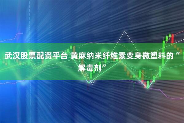 武汉股票配资平台 黄麻纳米纤维素变身微塑料的“解毒剂”