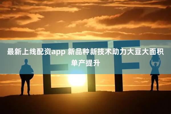 最新上线配资app 新品种新技术助力大豆大面积单产提升